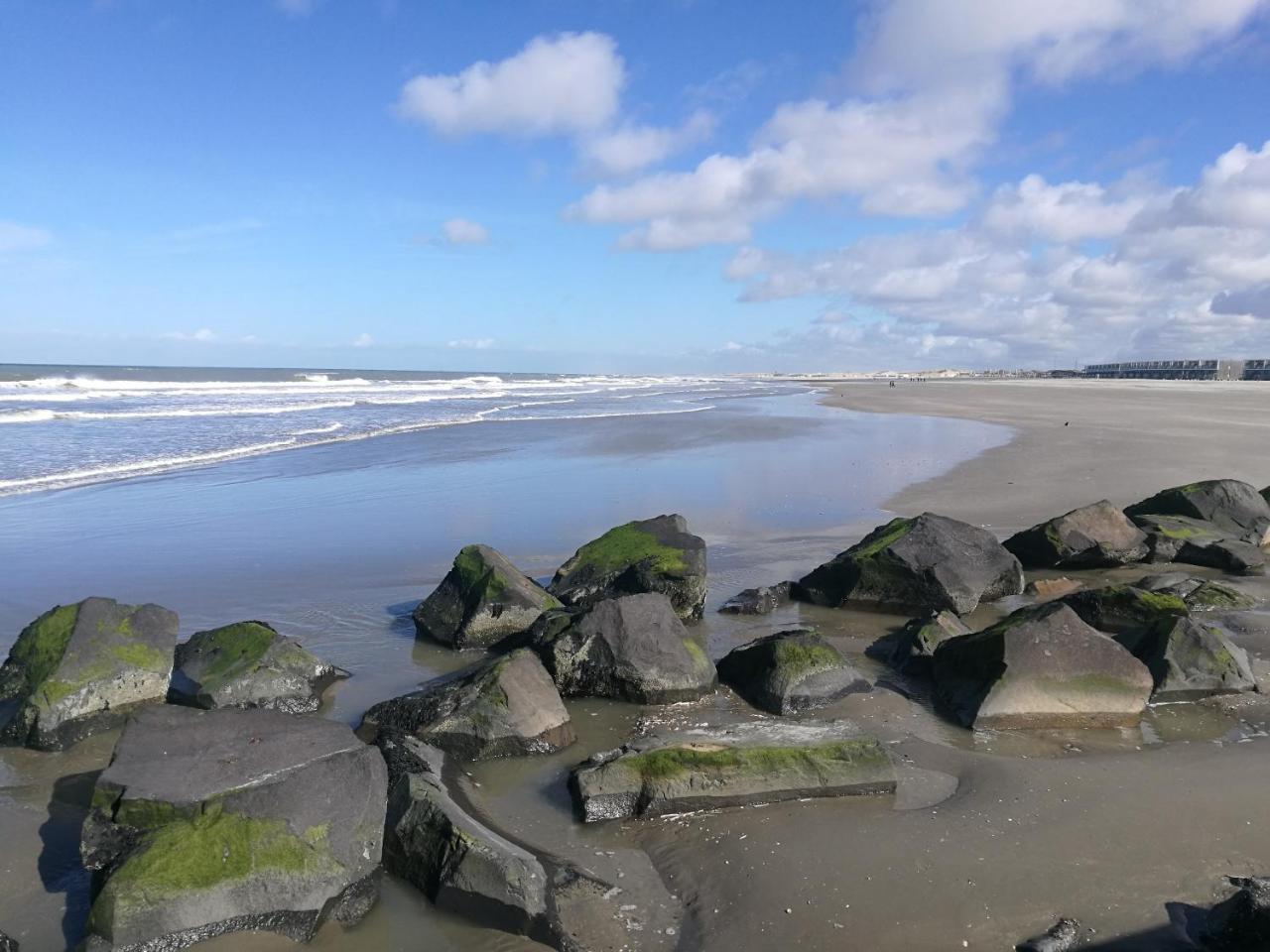 Hotel Noordzee Hoek van Holland Kültér fotó